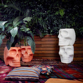 Qeeboo Mexico planter and champagne cooler in the shape of a skull Buy now on Shopdecor